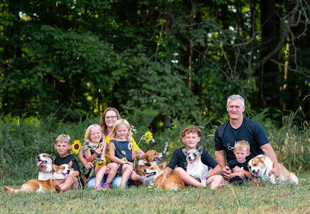 Triple Clear, OFA parents, Corgis breeder image 3
