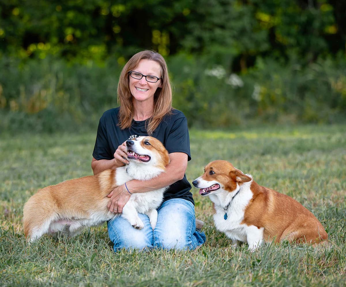 Triple Clear, OFA parents, Corgis breeder image 8