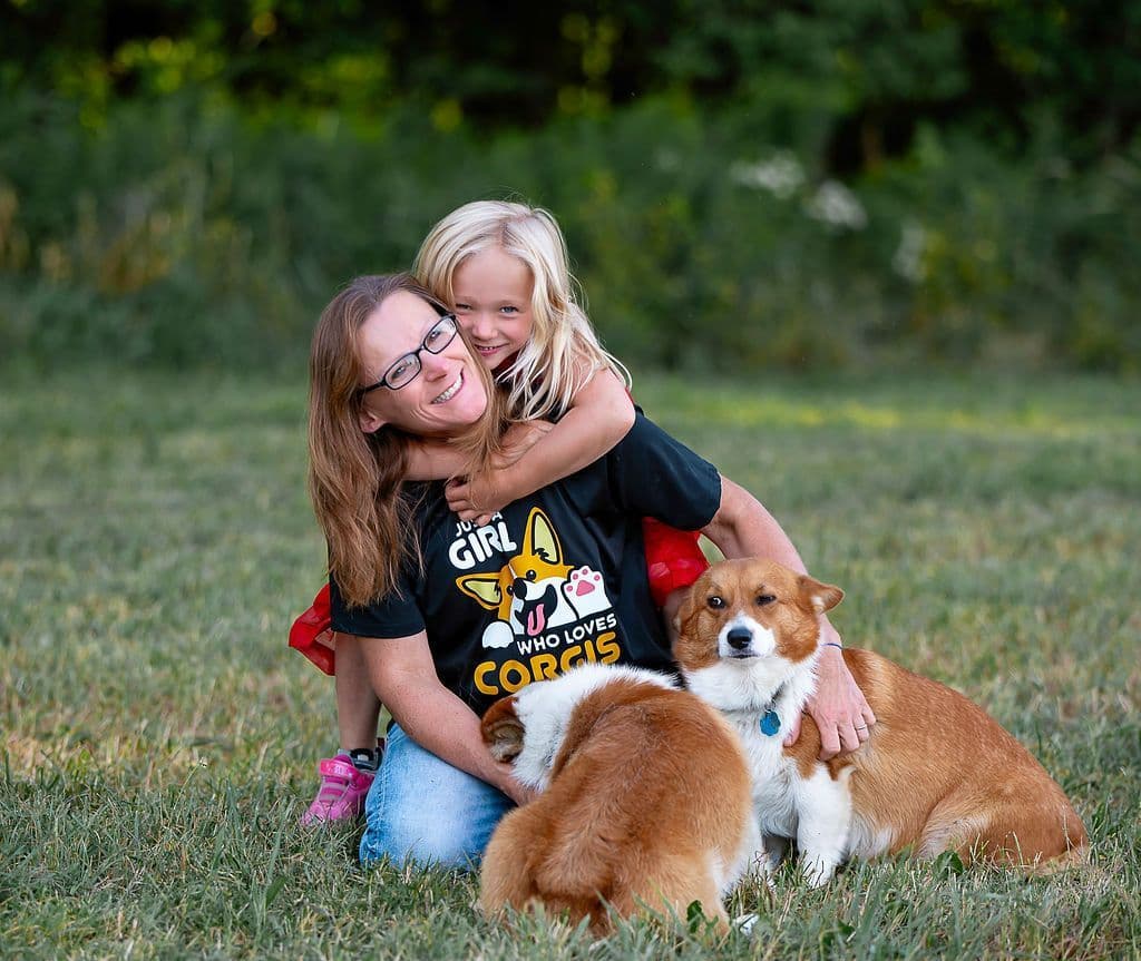 Triple Clear, OFA parents, Corgis breeder image 9