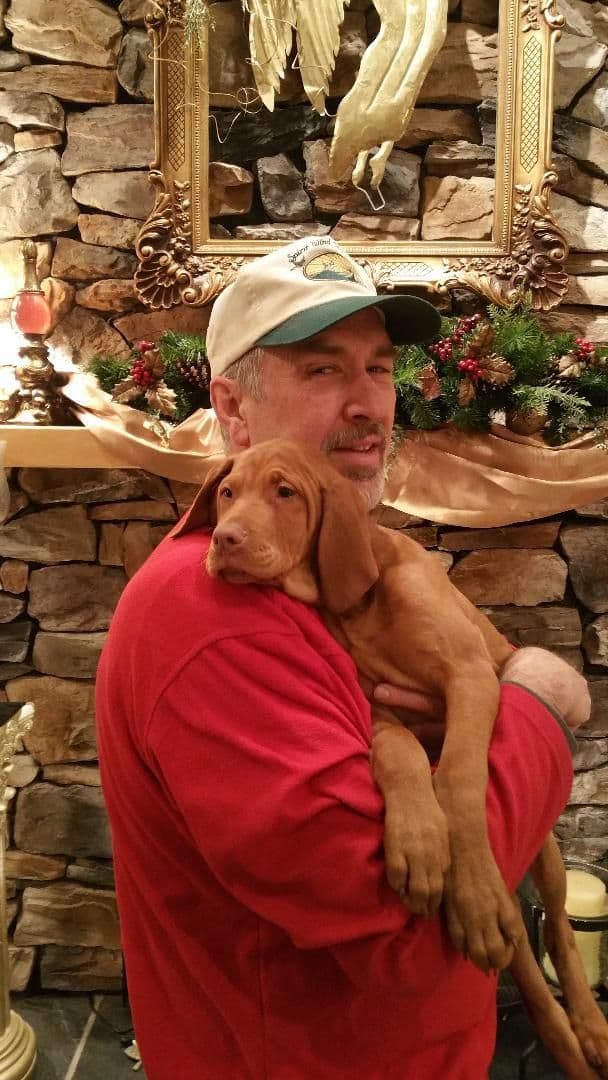 Vizsla Puppies/7wks & 5mos/Available Now, 2 Litters breeder image 3