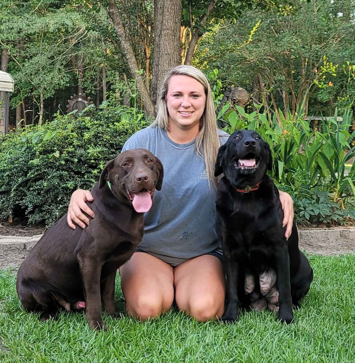 Labrador Retriever Puppies breeder image 2