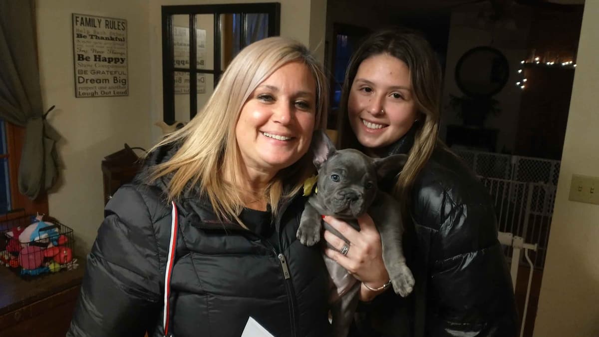 French Bulldog Puppies breeder image 4