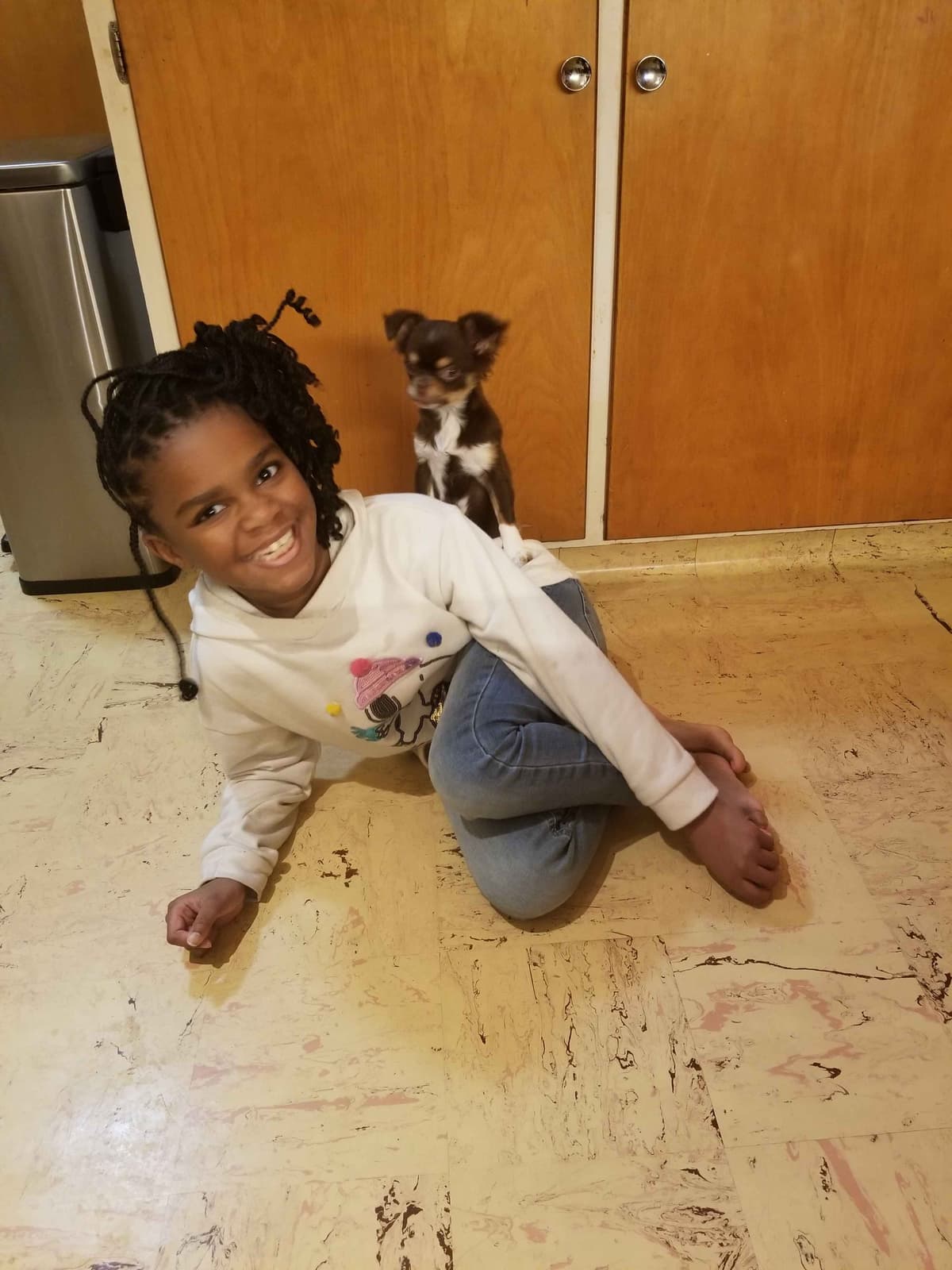 AKC Chihuahua Puppies | Small, Sweet, Well Raised breeder image 8