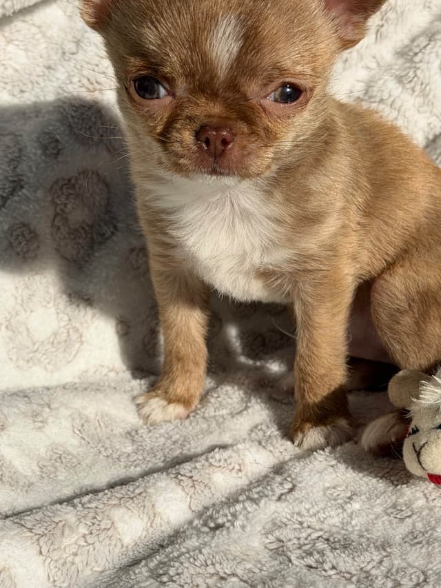 A sweet green eyed boy media 8
