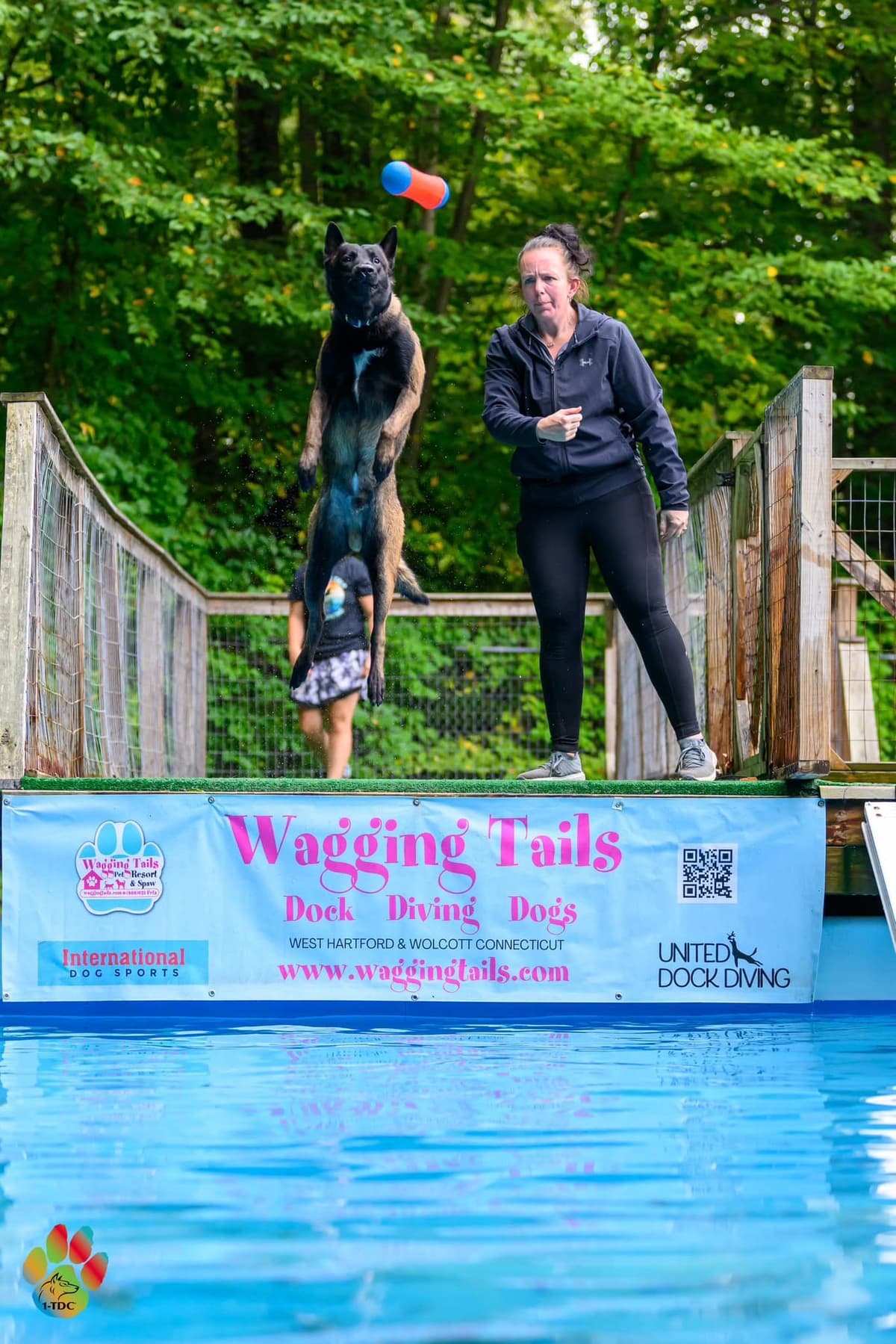 Belgian Malinois Puppies breeder image 15