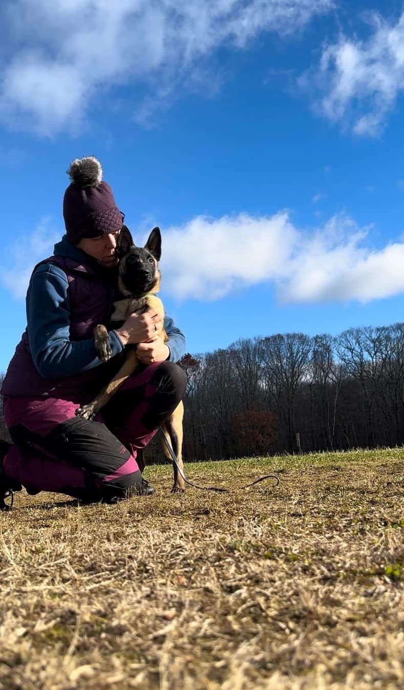 Belgian Malinois Puppies breeder image 20