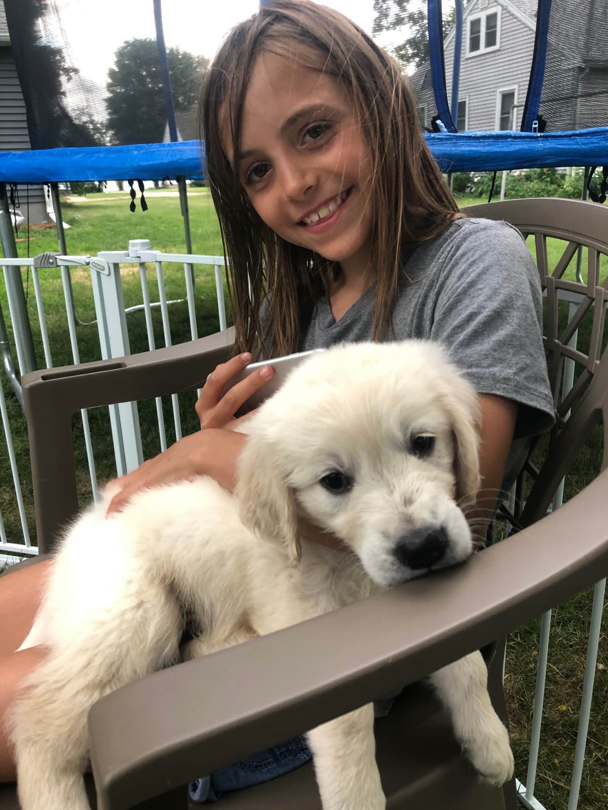 Golden Retriever Puppies breeder image 26