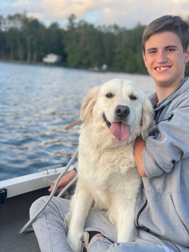 Golden Retriever Puppies media 3