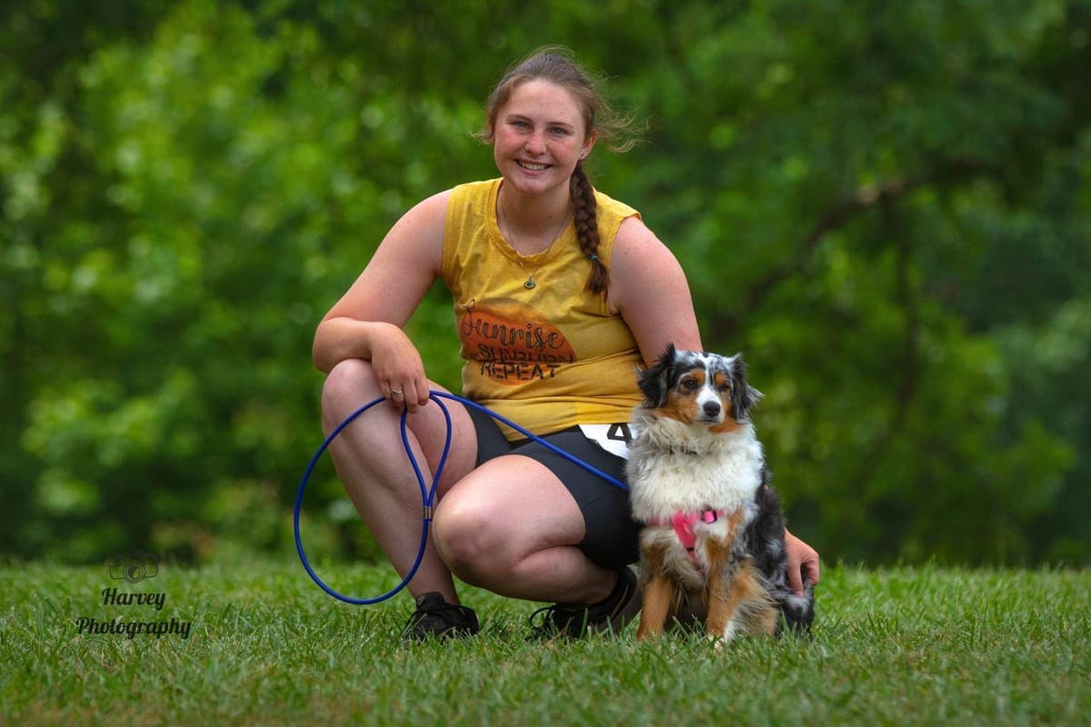 Miniature American Shepherd Puppies breeder image 10