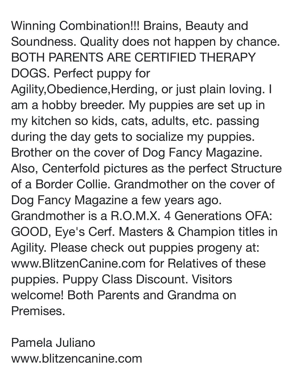 Breeder of Merit - Border Collie Puppies breeder image 3