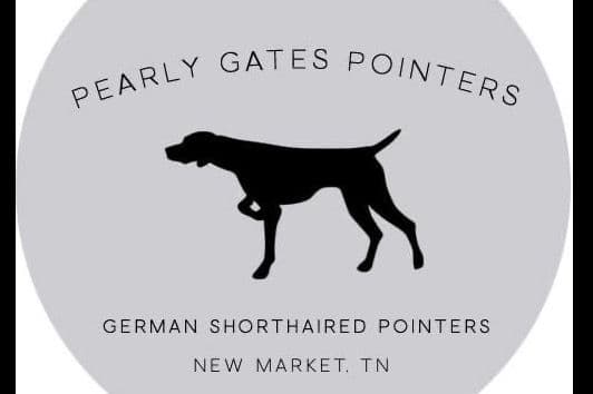 German Shorthaired Pointer Puppies - Farm Raised, Well Socialized breeder image 1