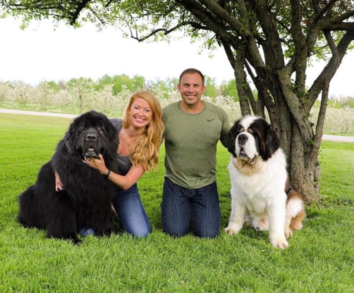 AKC CHAMPION Saint Bernard Puppies breeder image 1