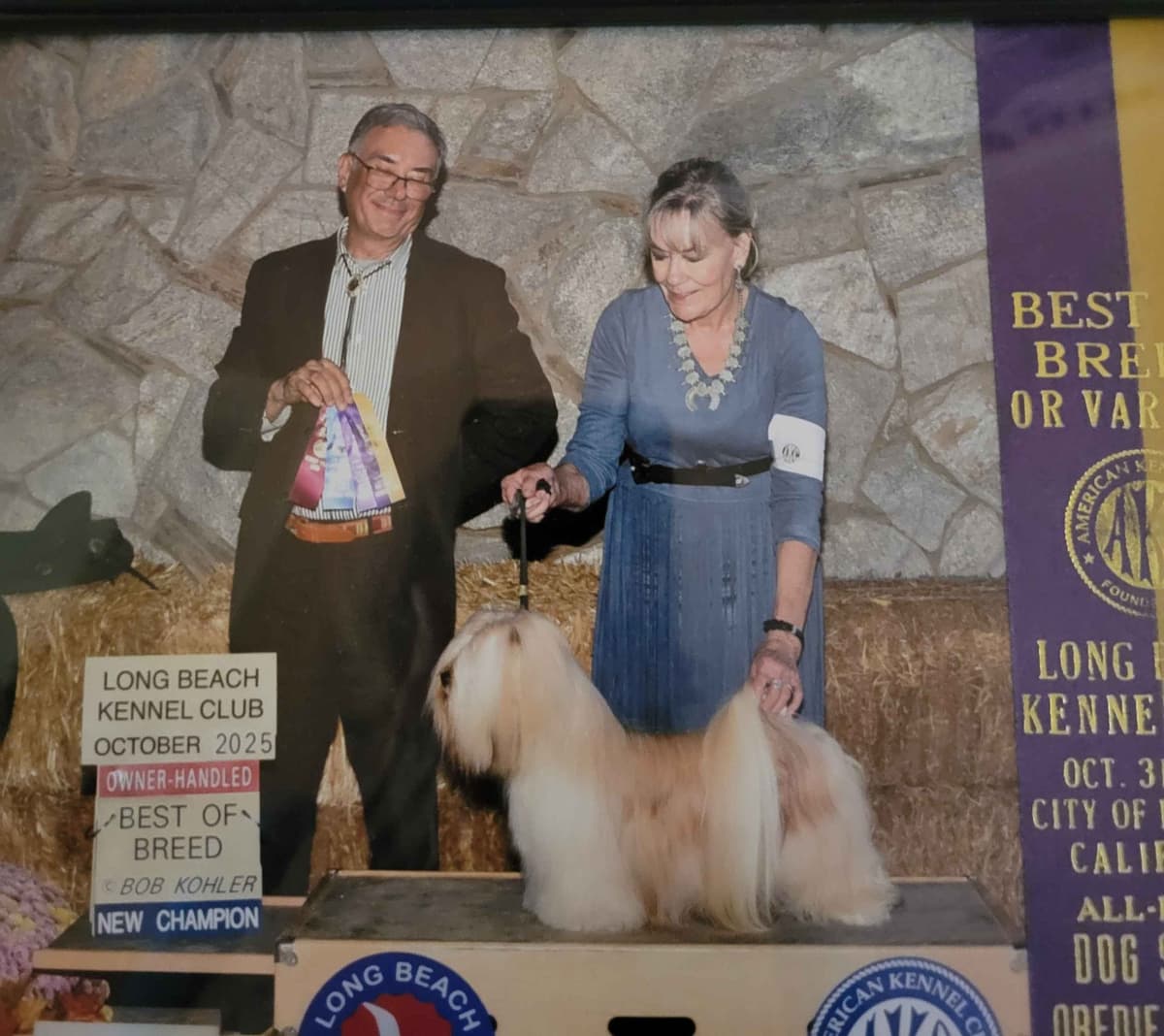Lhasa Apso Puppies breeder image 1