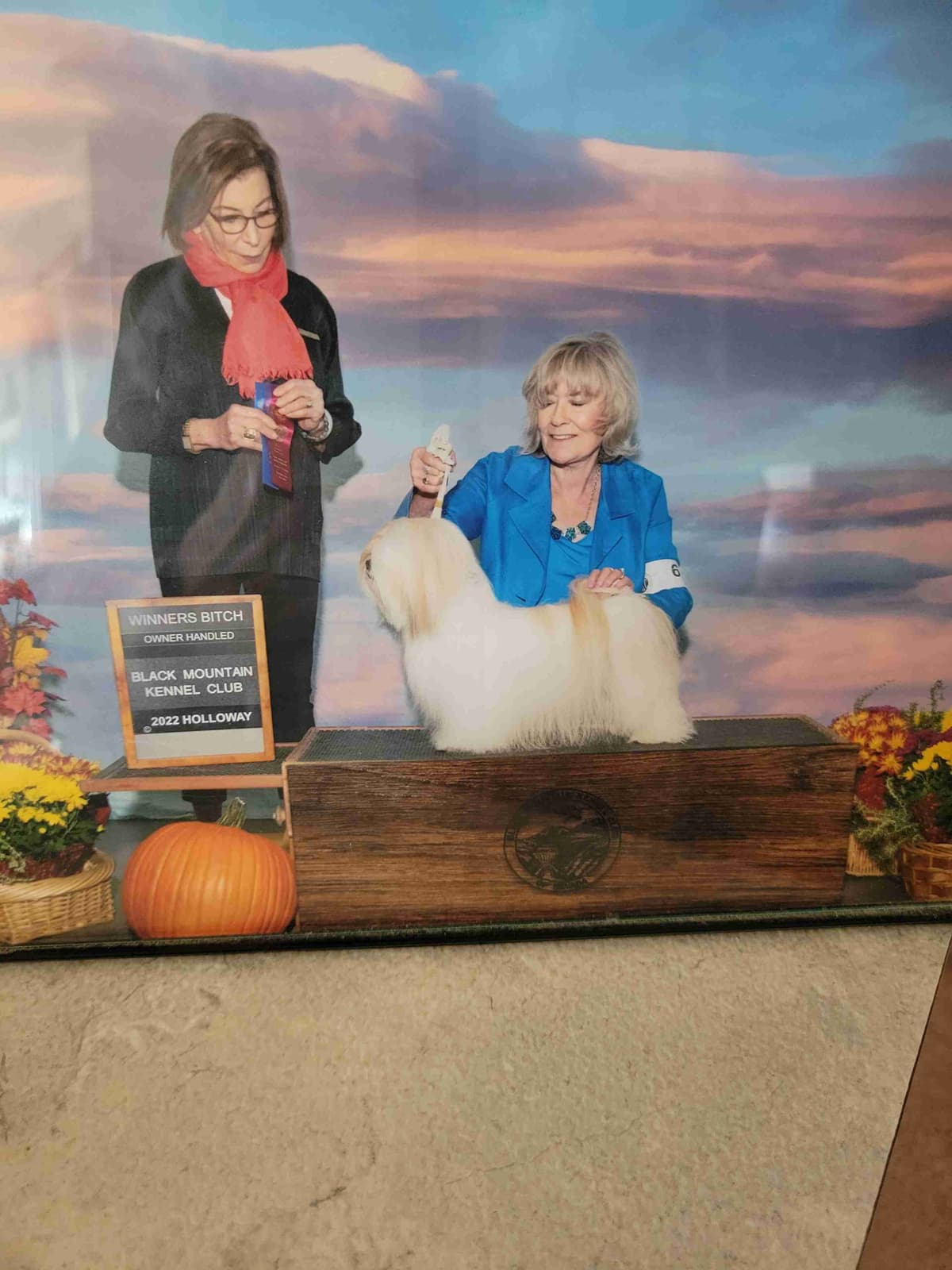 Lhasa Apso Puppies breeder image 2