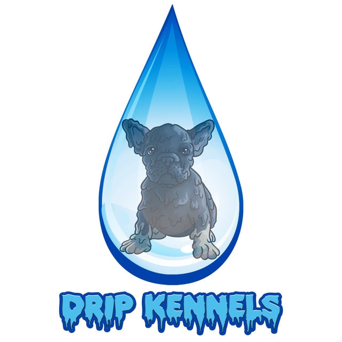 French Bulldog Puppies breeder image 1