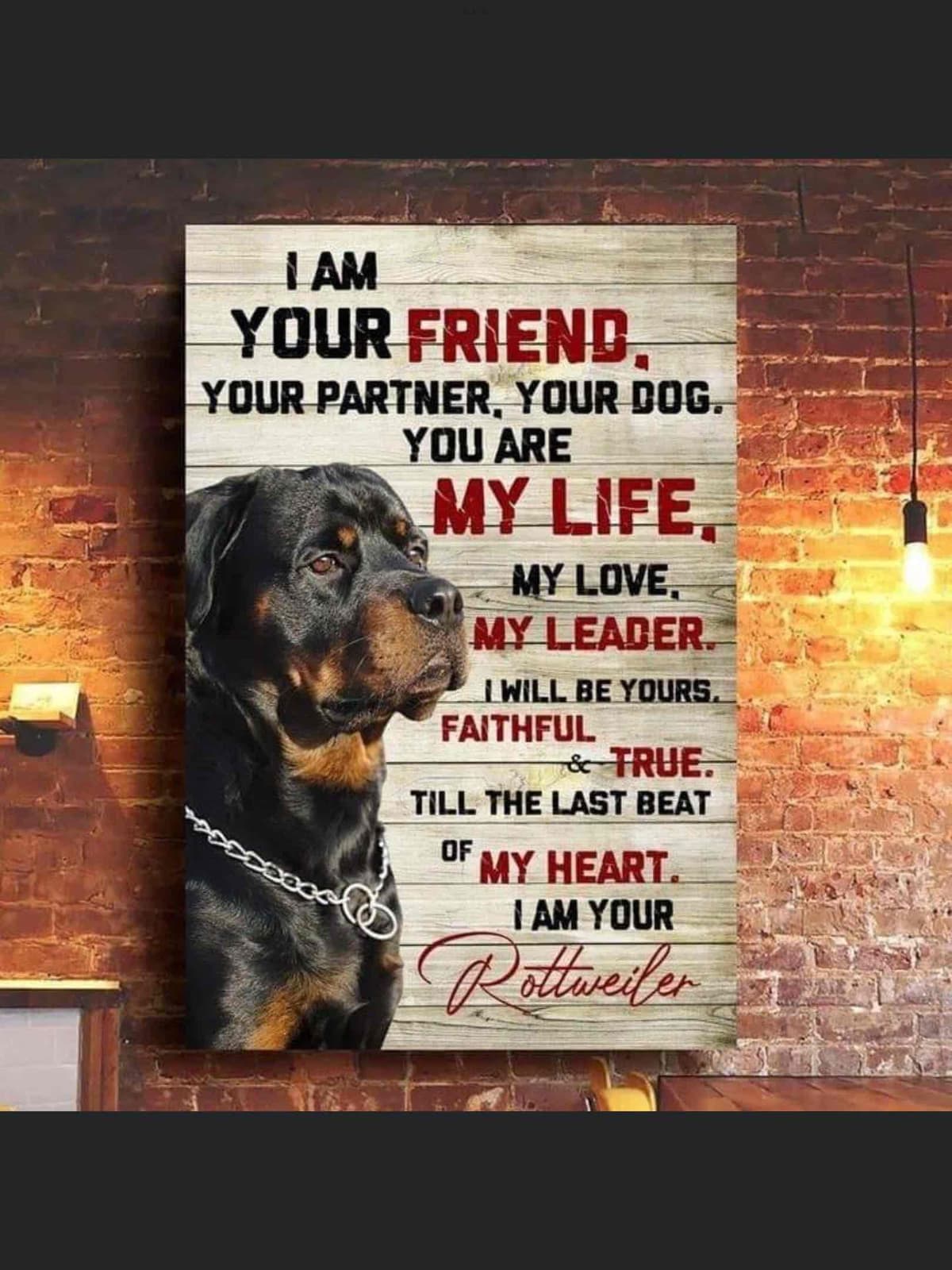 Rottweiler Puppies breeder image 1