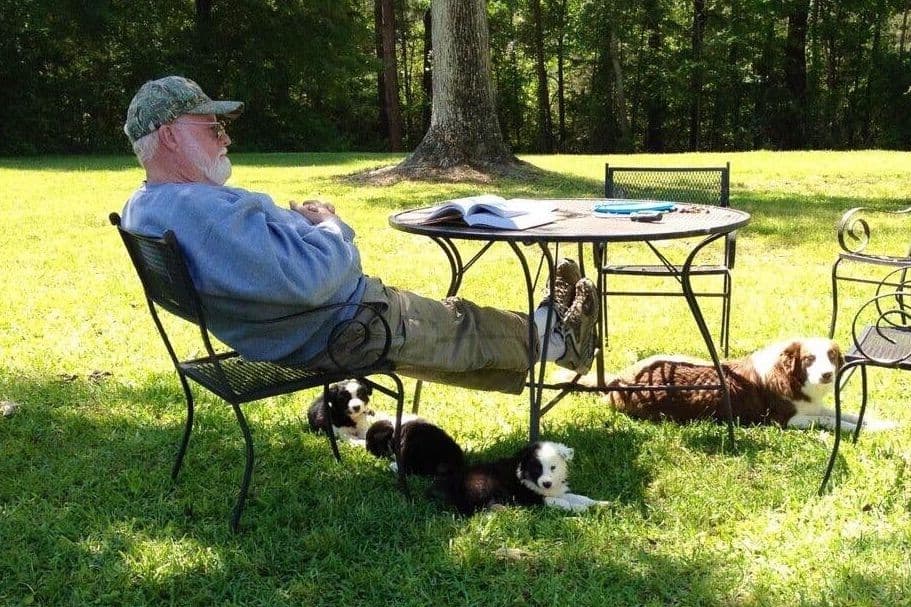 Border Collie Puppies breeder image 4