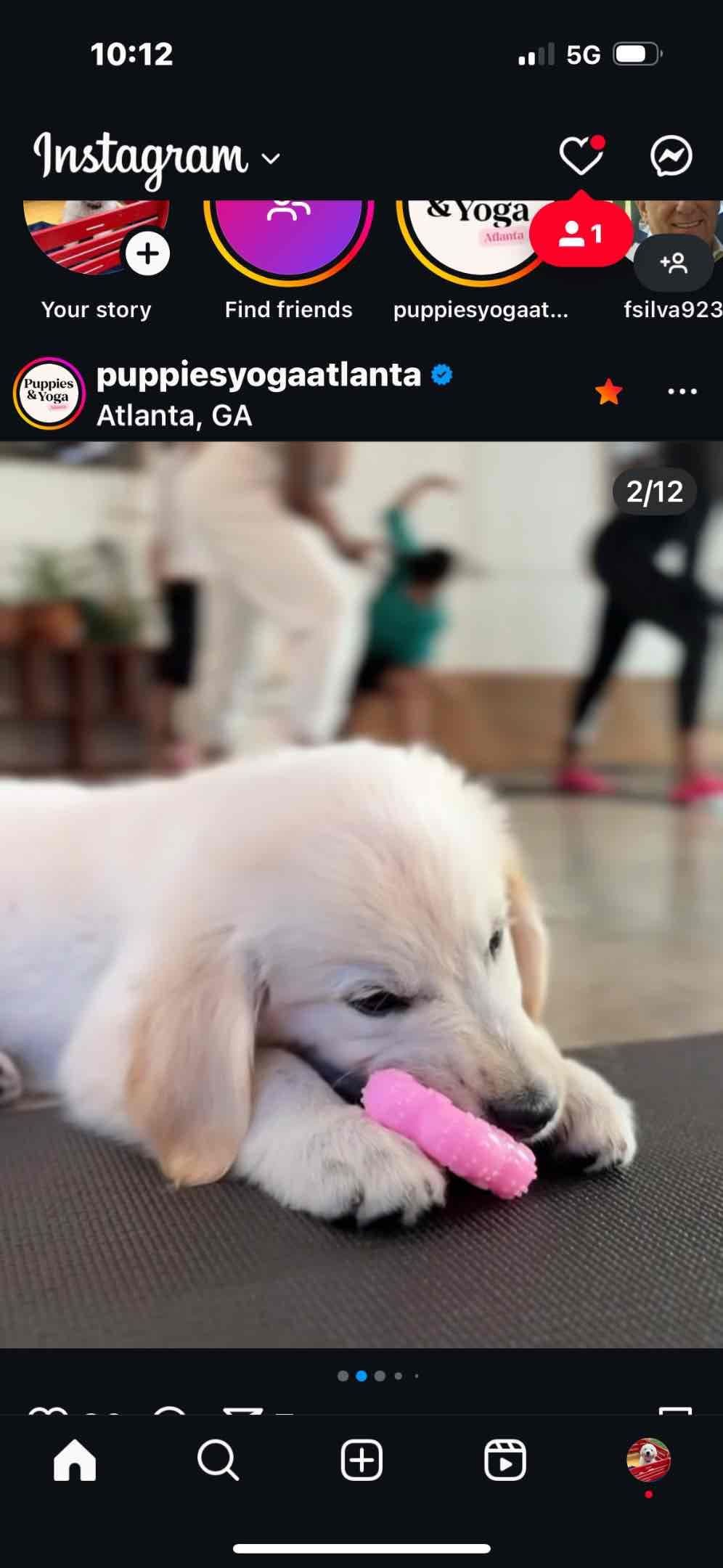 Golden Retriever Puppies breeder image 17