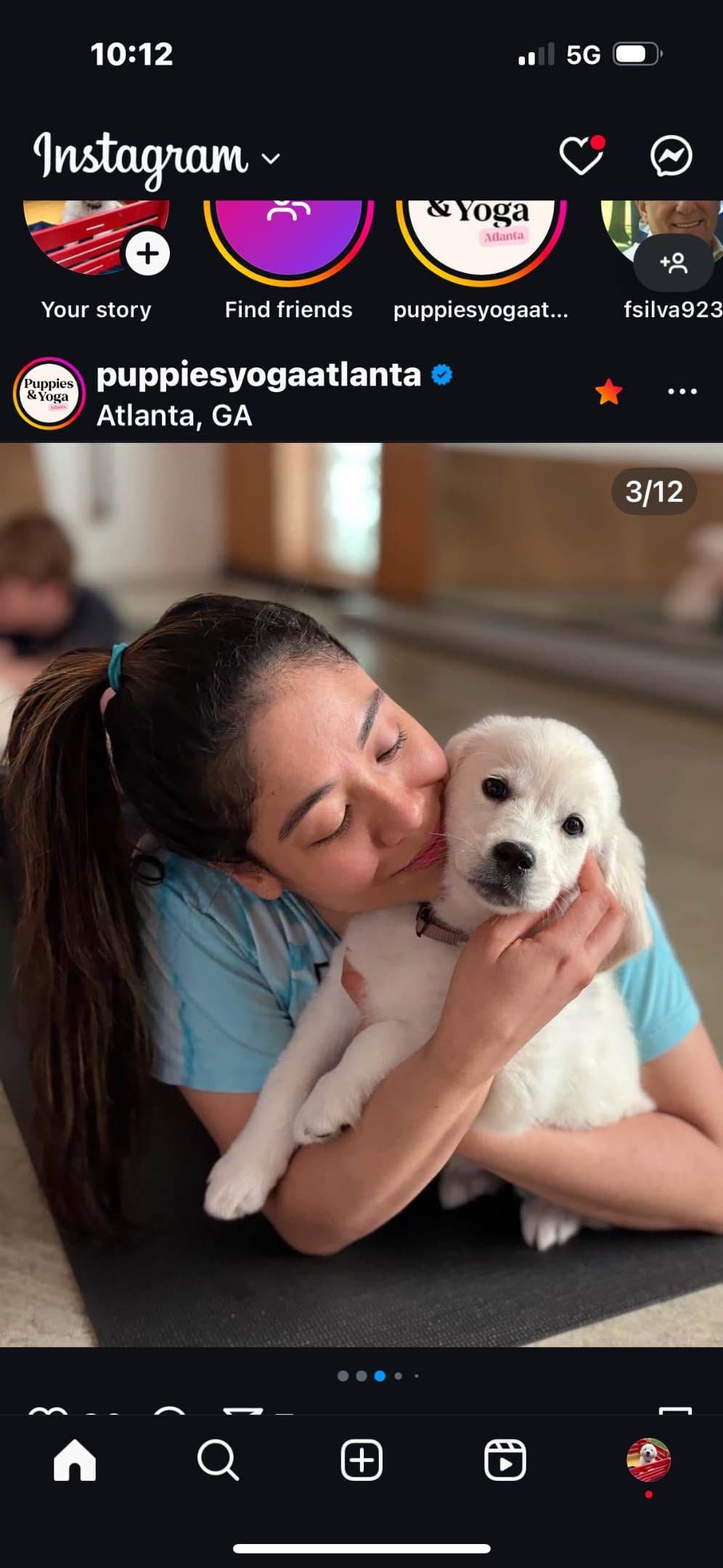 Golden Retriever Puppies breeder image 19