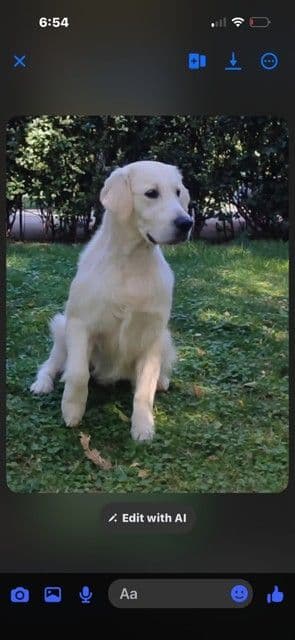 Golden Retriever Puppies media 2