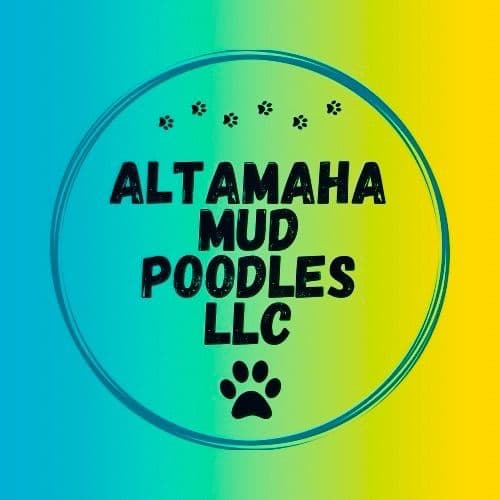 Poodle Puppies breeder image 1