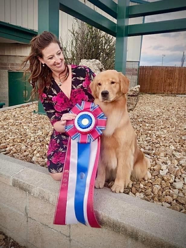 AKC Champion Golden Retriever Puppies breeder image 7