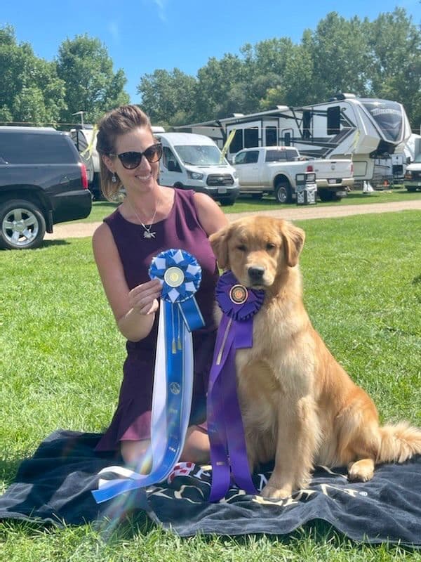 AKC Champion Golden Retriever Puppies breeder image 6