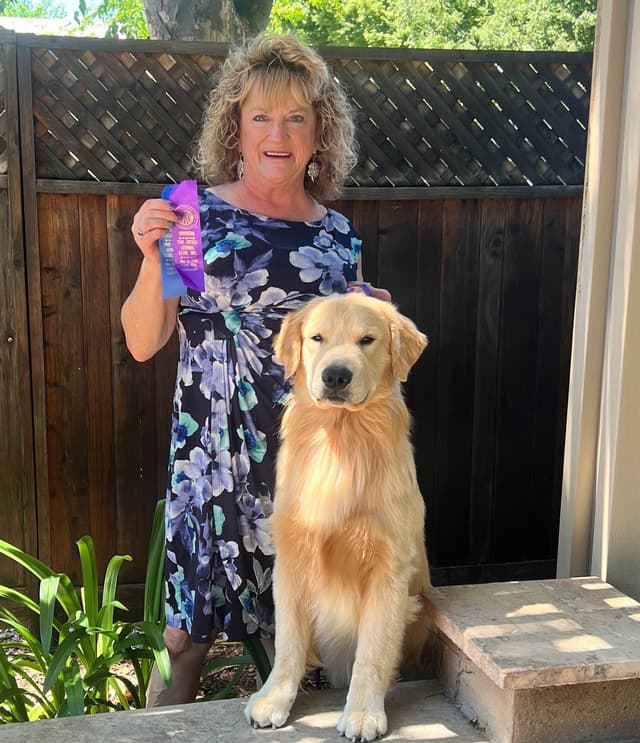 AKC Champion Golden Retriever Puppies media 4