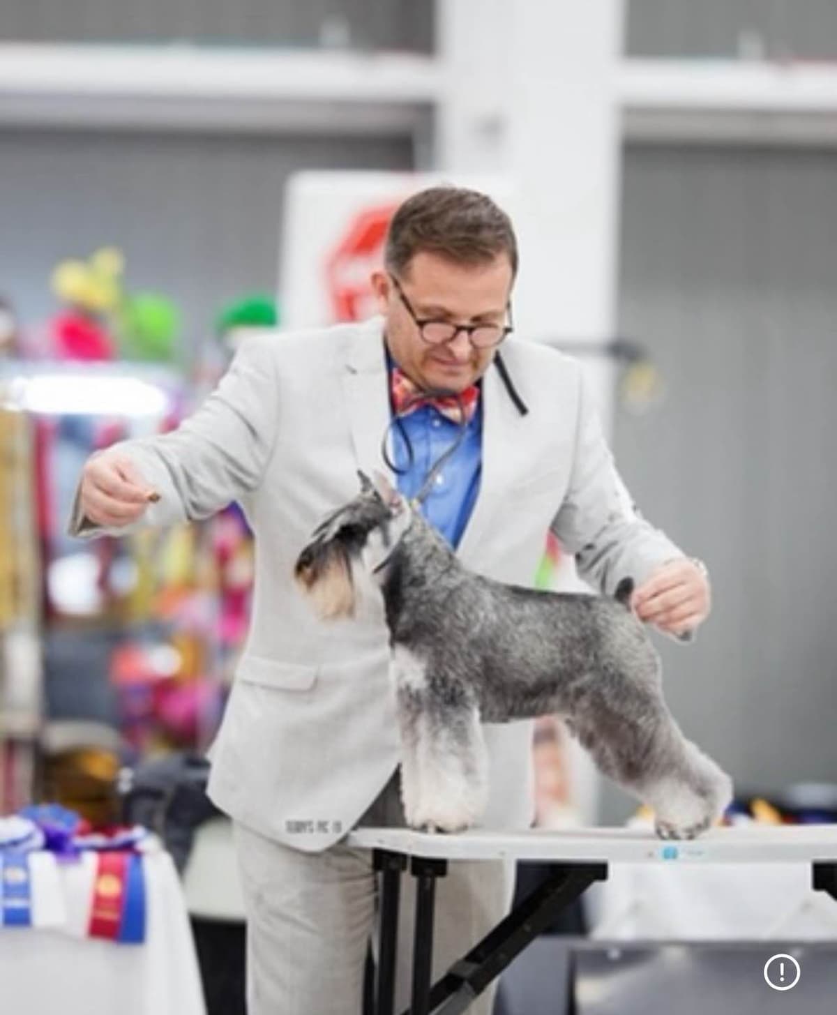 Miniature Schnauzer Puppies breeder image 1