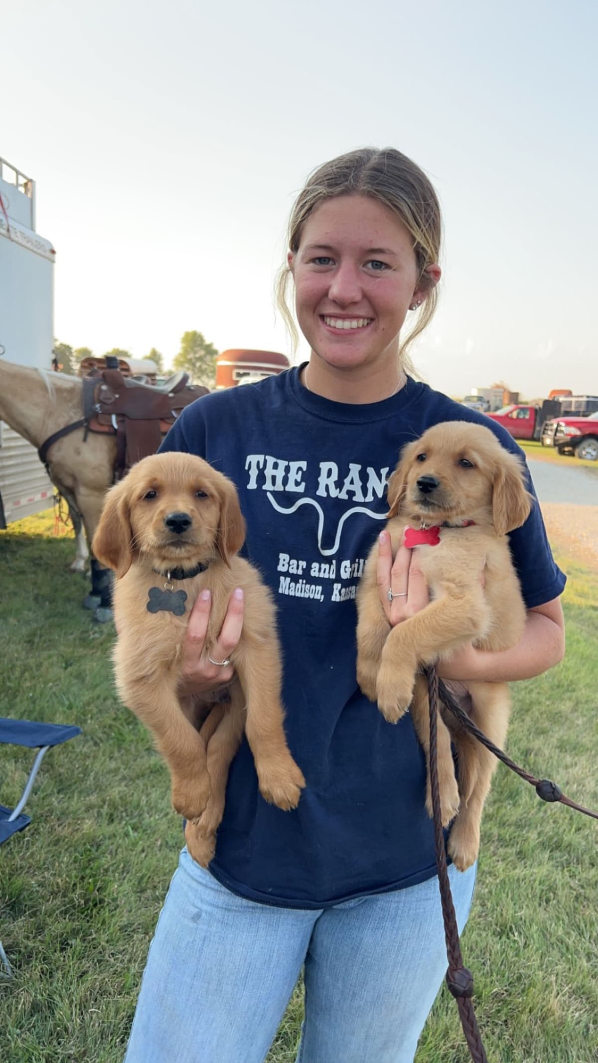 Golden Retriever Puppies see attached video breeder image 5