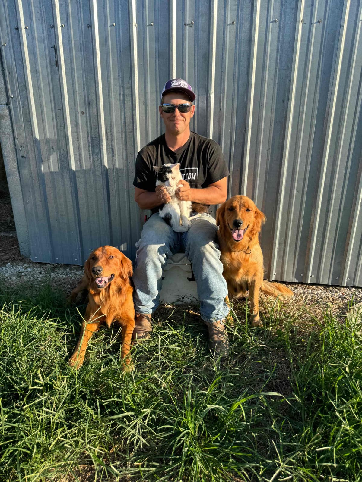 Golden Retriever Puppies see attached video breeder image 12