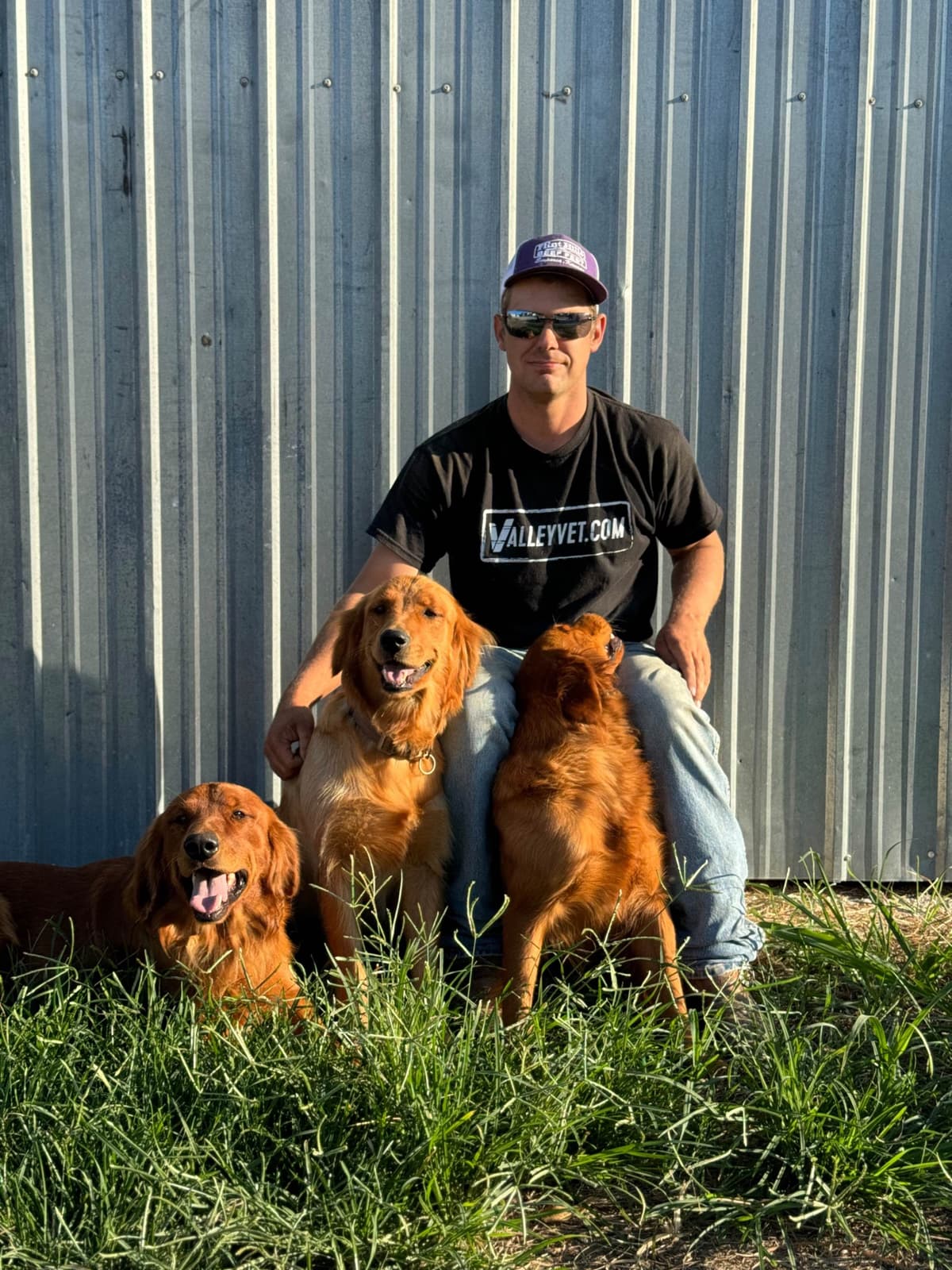 Golden Retriever Puppies see attached video breeder image 10