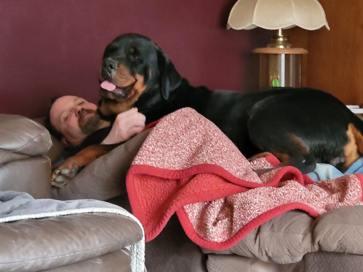 Rottweiler Puppies 262-995-5434 breeder image 6