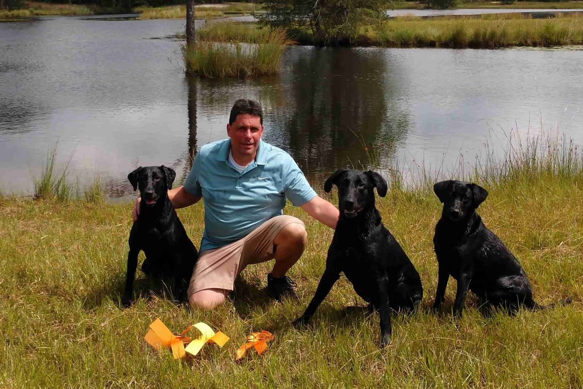 Labrador Retriever Puppies breeder image 1