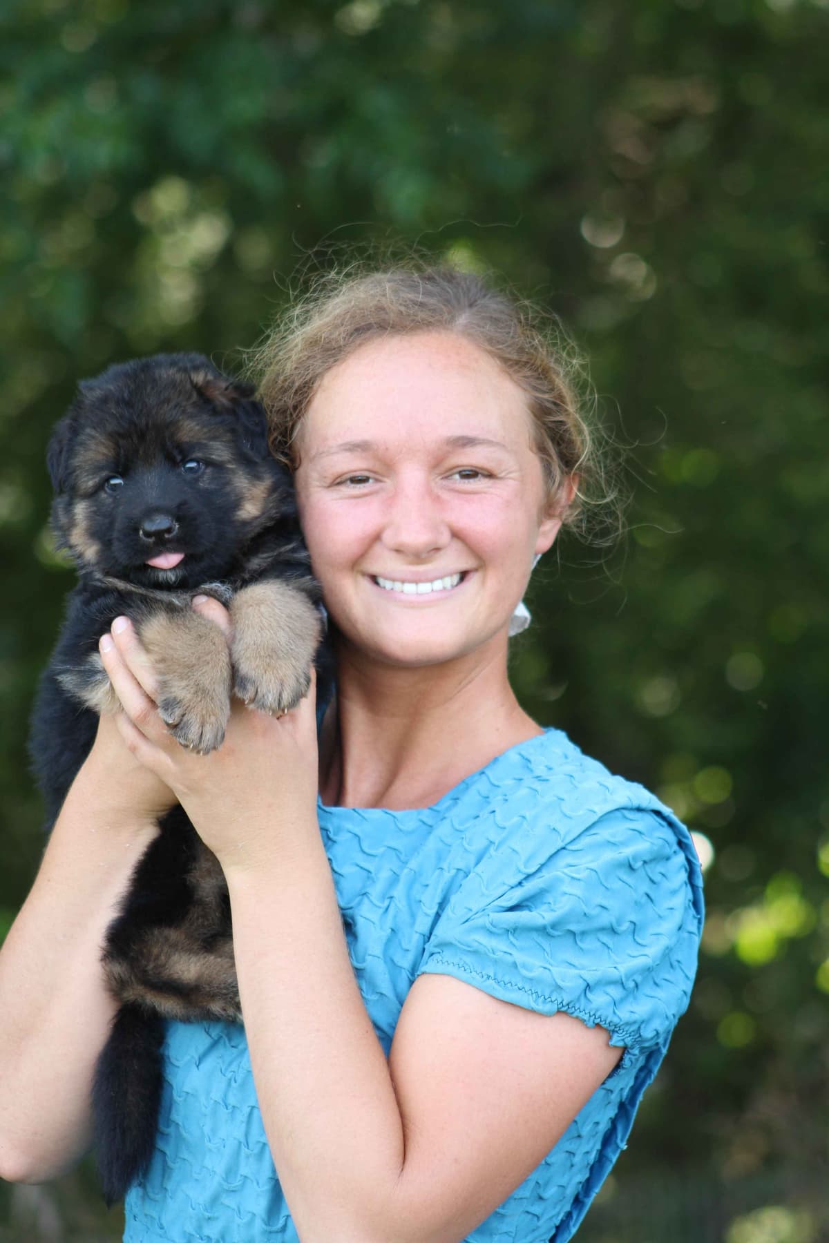 German Shepherd Dog Puppies breeder image 16