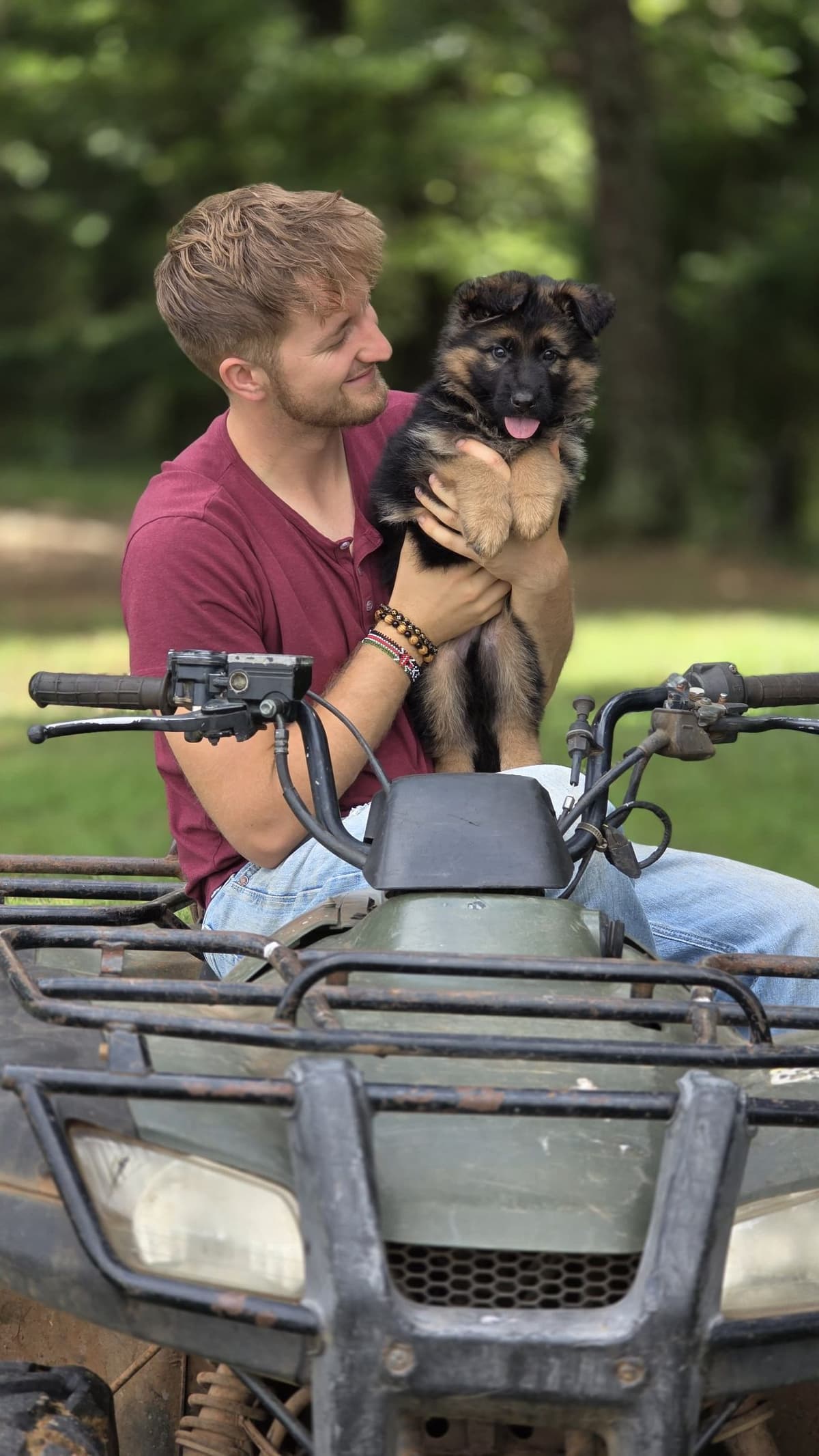 German Shepherd Dog Puppies breeder image 2