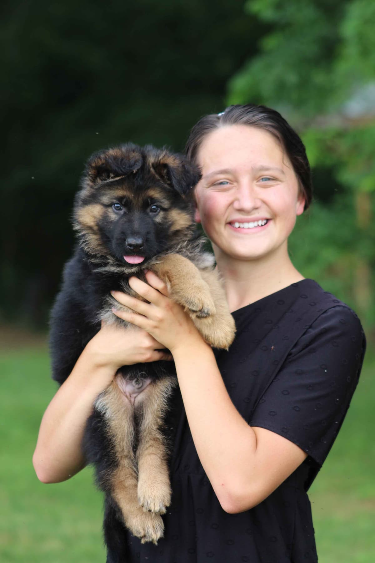 German Shepherd Dog Puppies breeder image 7