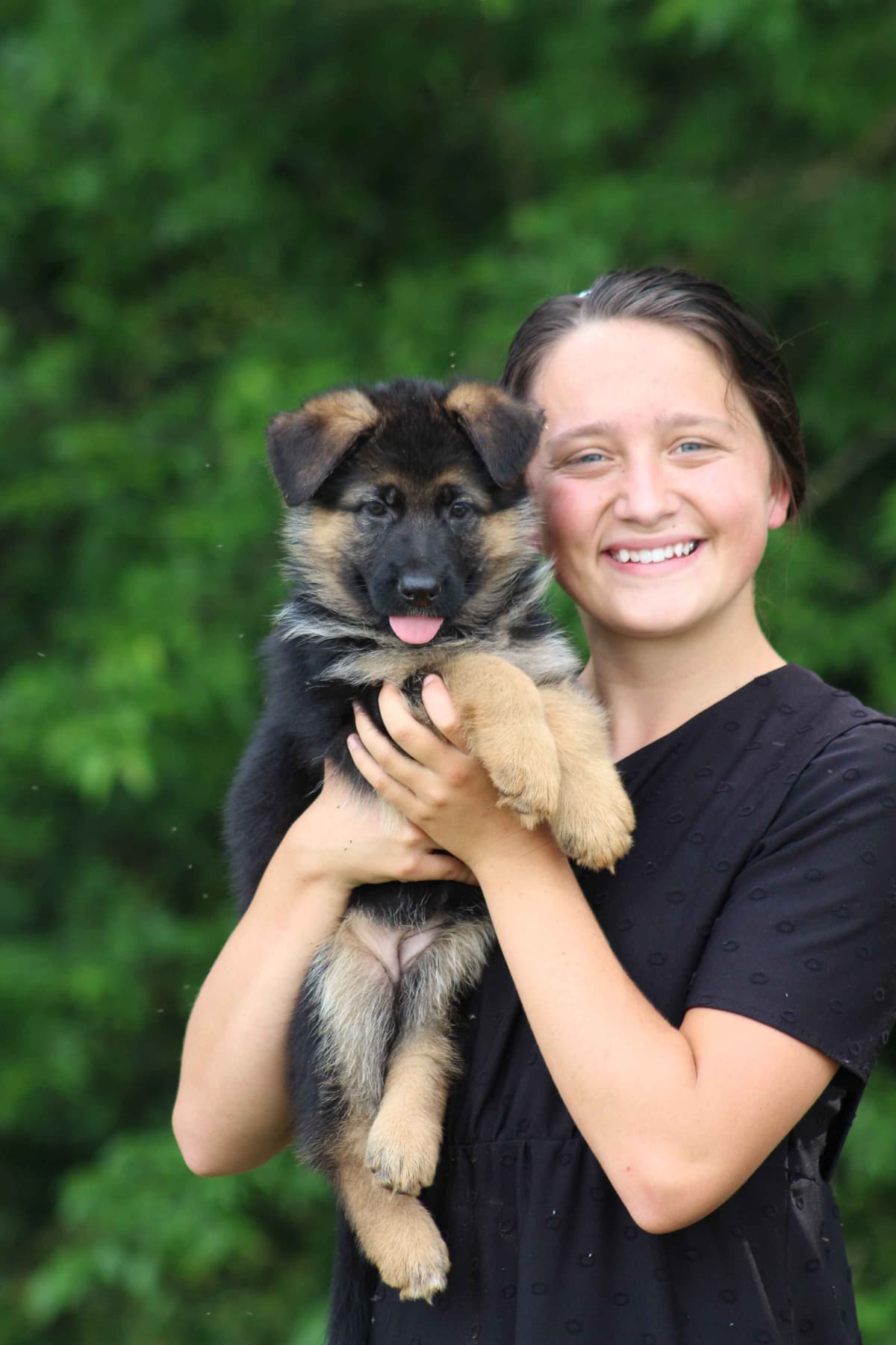 German Shepherd Dog Puppies breeder image 13