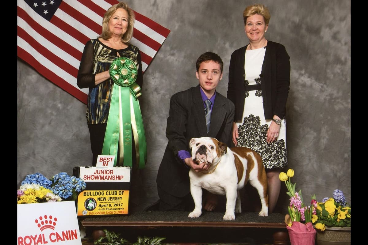 AKC English Bulldog Puppies breeder image 9