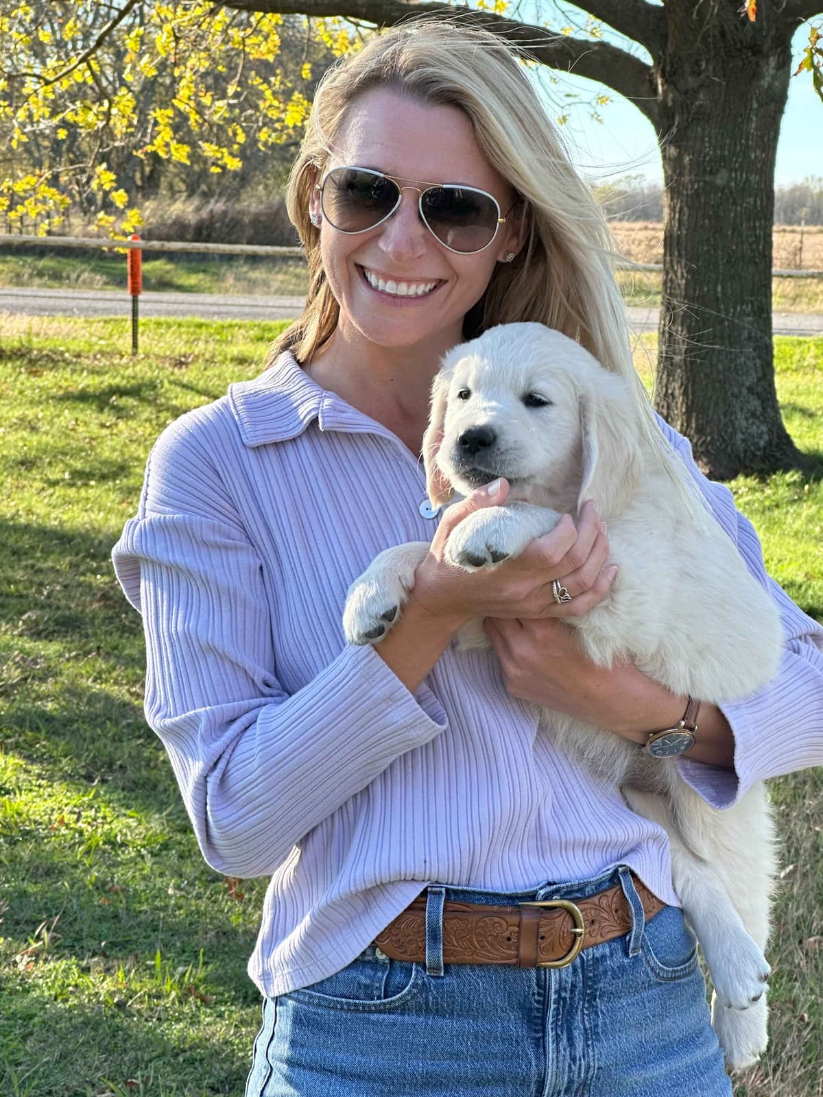 CREAM AKC Golden Retriever Puppies breeder image 12