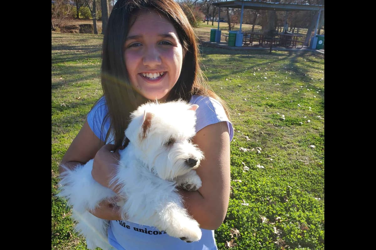 West Highland White Terrier- Champion Bloodlines breeder image 9