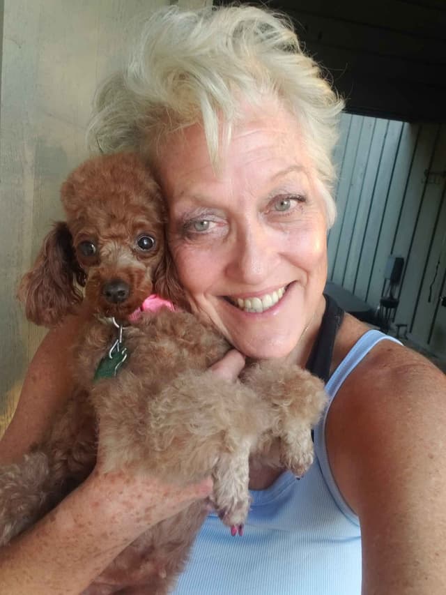 Hooverhill  Farms AKC Toy & Miniature Poodles Available media 16
