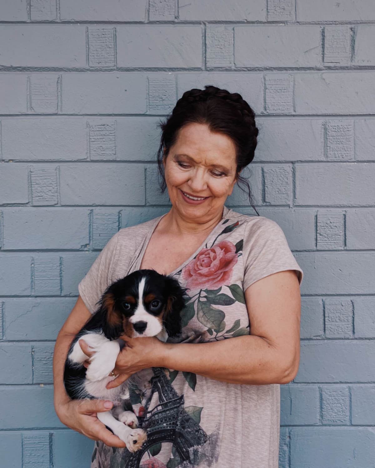 Cavalier King Charles Spaniel Puppies breeder image 2