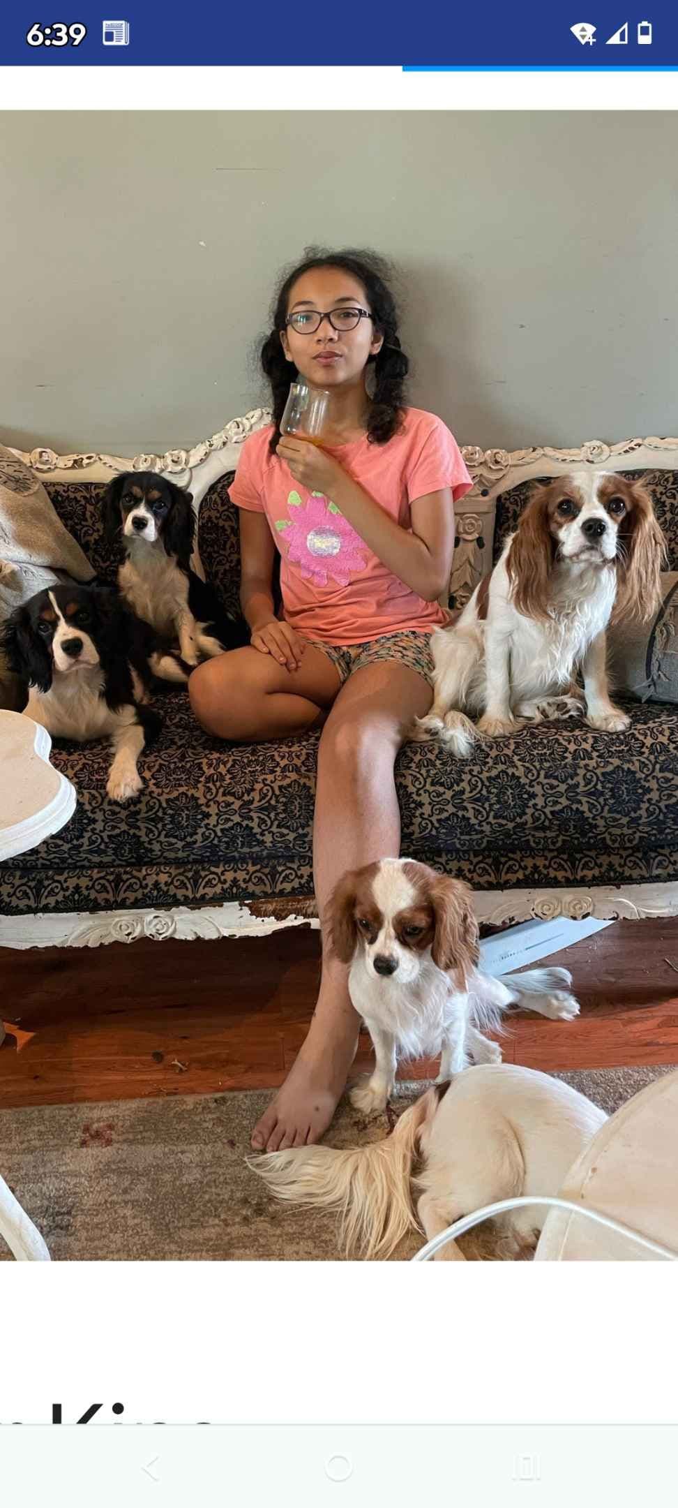 Cavalier King Charles Spaniel Puppies breeder image 8