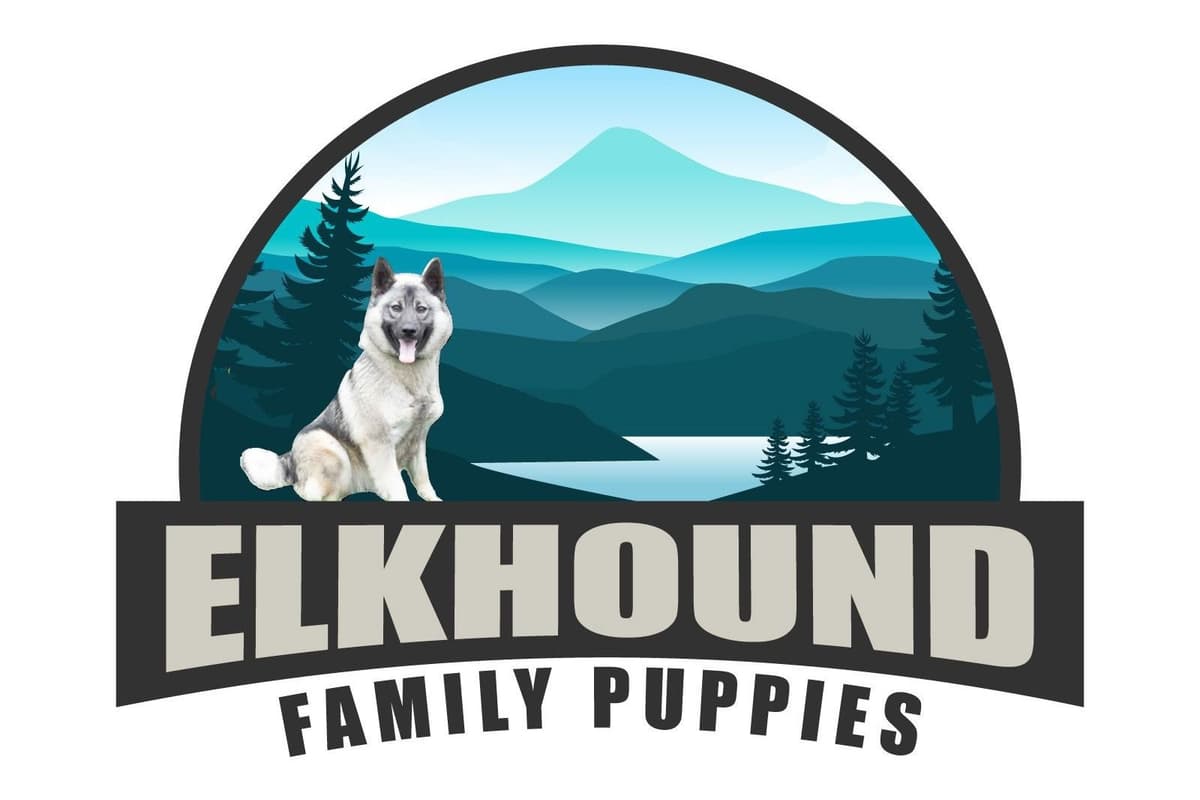 Norwegian Elkhound Puppies breeder image 1