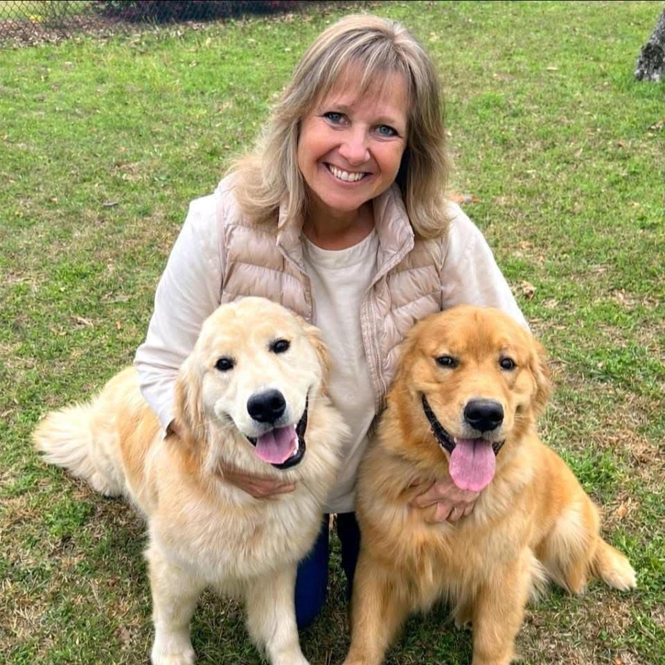 Golden Retriever Puppies breeder image 10