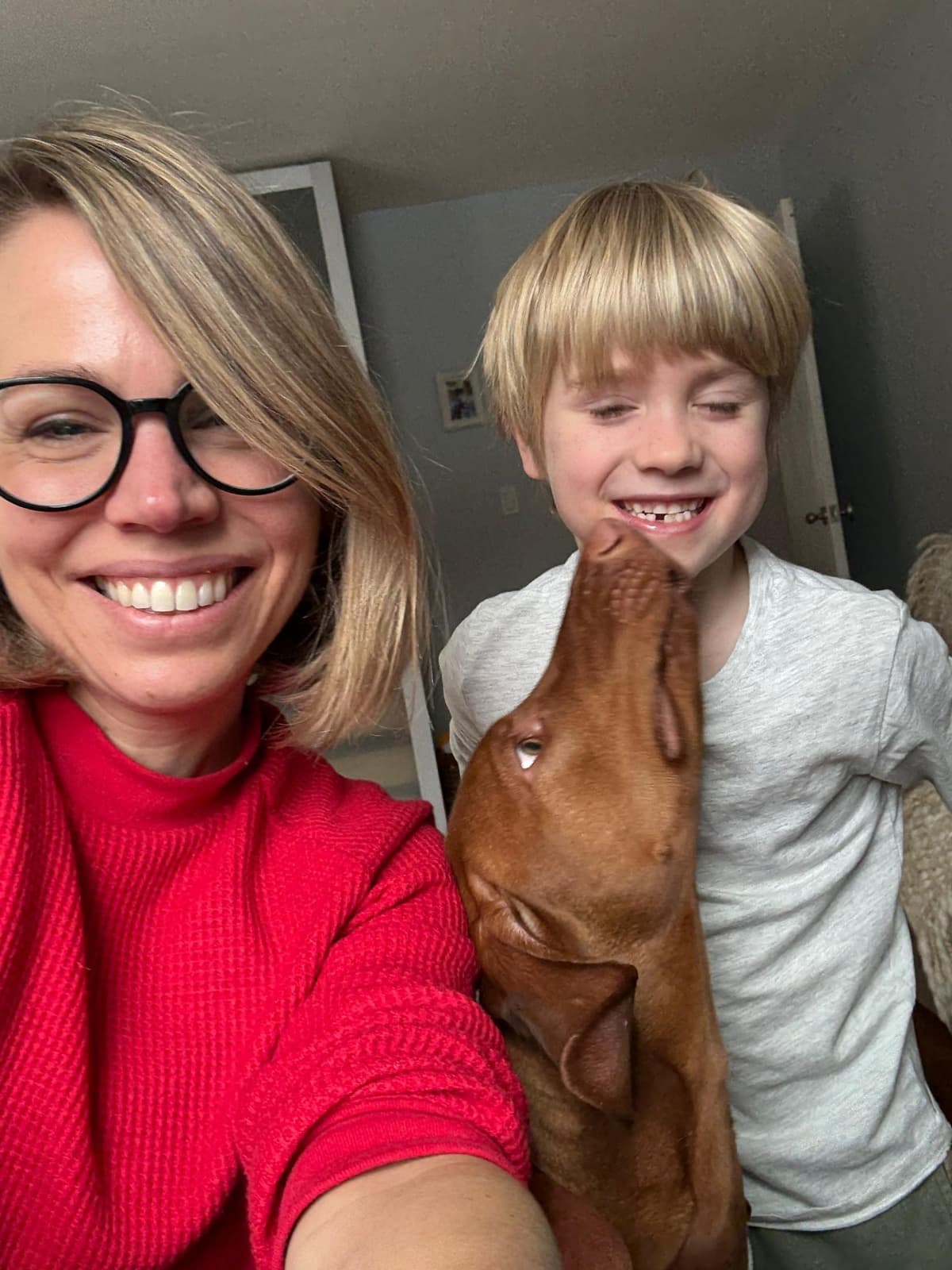 Vizsla Puppy - AKC Registered / Excellent Temperament breeder image 16