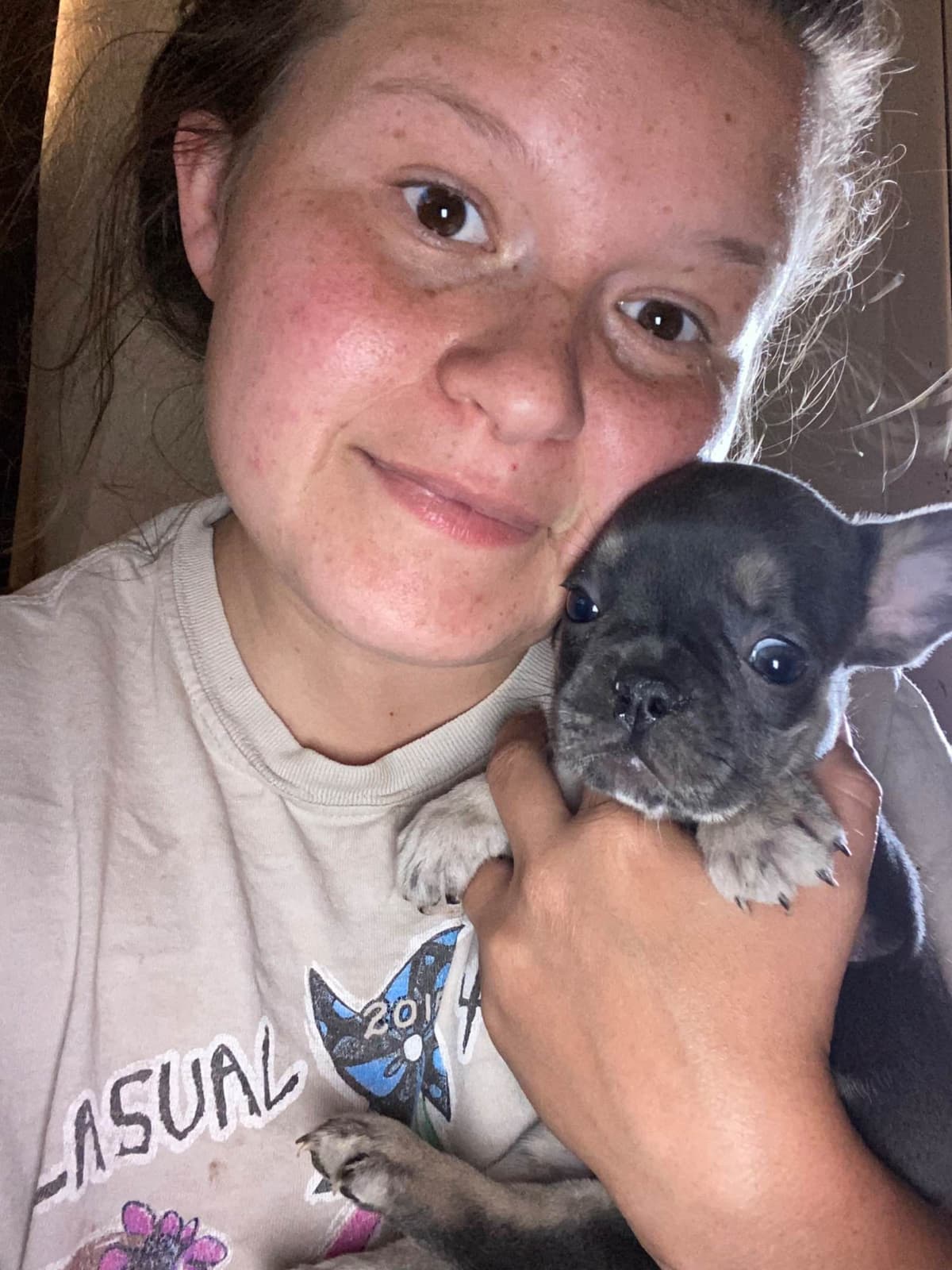 French Bulldog Female breeder image 4