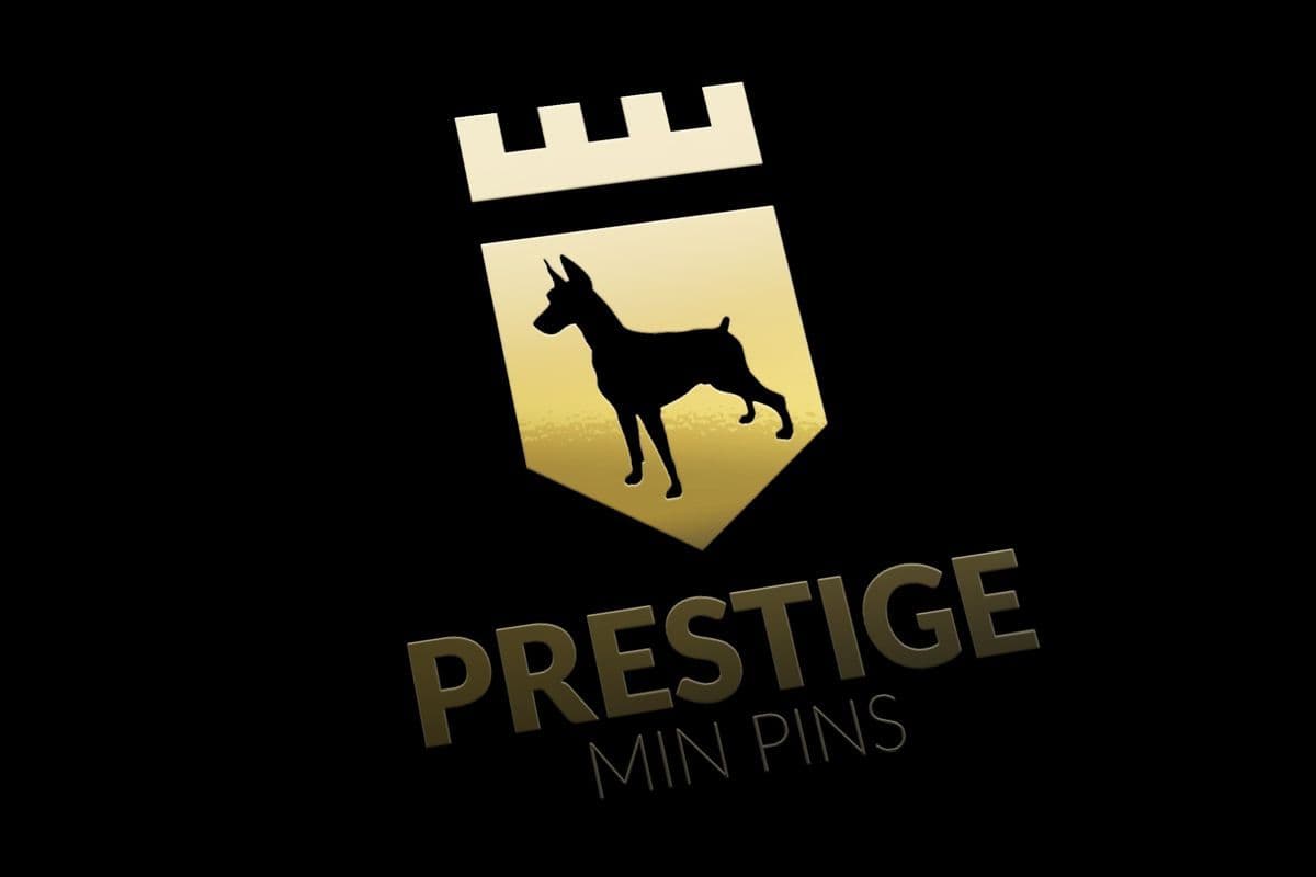 Miniature Pinscher Puppies breeder image 1