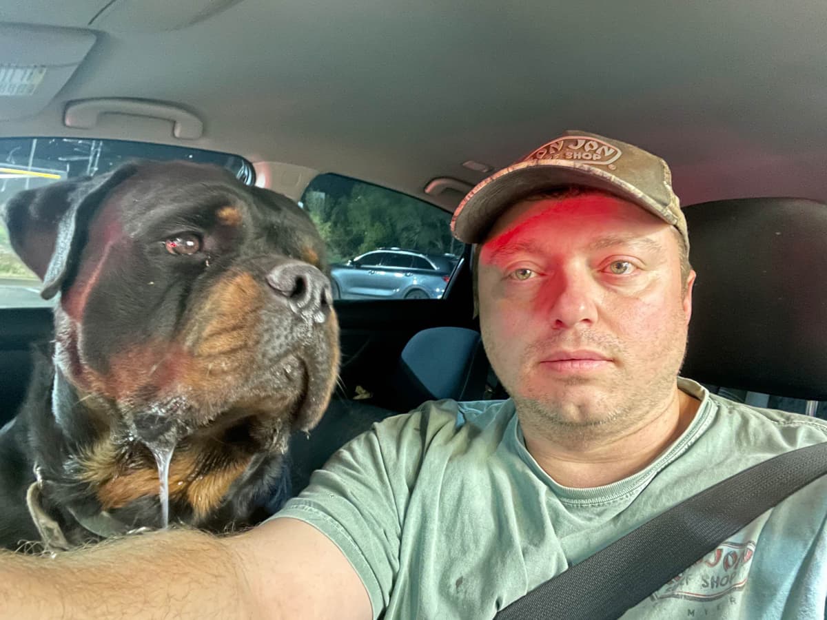 Rottweiler Puppies breeder image 22
